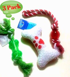 Holiday Chew Toy Pack