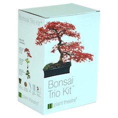 Bonsai Trio Kit