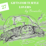 turtle gifts