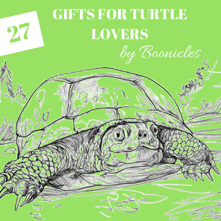 gifts for turtle lovers